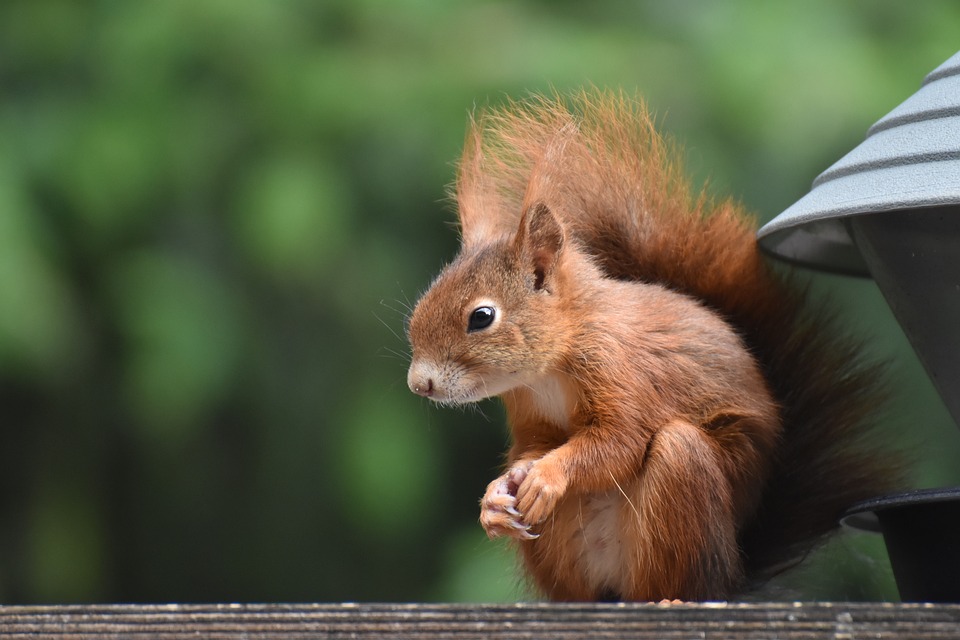 All Black Solar Panels: A Comprehensive Introduction| The Xperts Pakistan