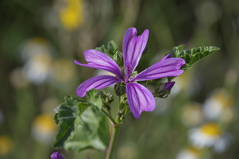 What are the peak times of the sun for each US state?| The Xperts Pakistan