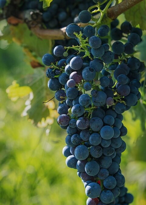 Mounting solar panels on the RV roof