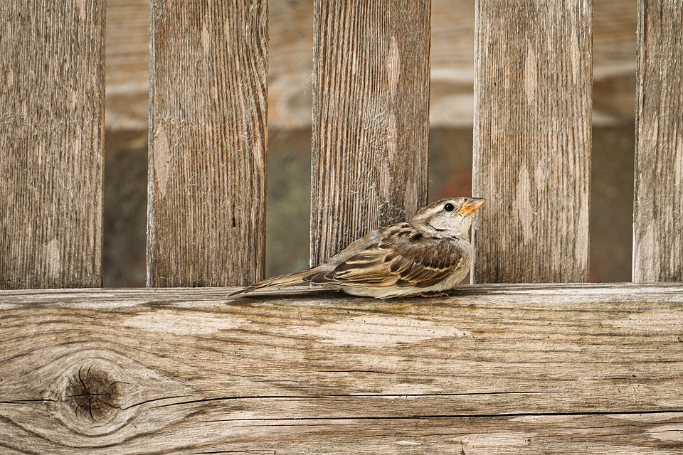 The solar panel 20% rule: when to use it – and when to adjust it| The Xperts Pakistan