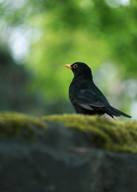 ETFE flexible solar panels: 18-year lab data and durability guide| The Xperts Pakistan