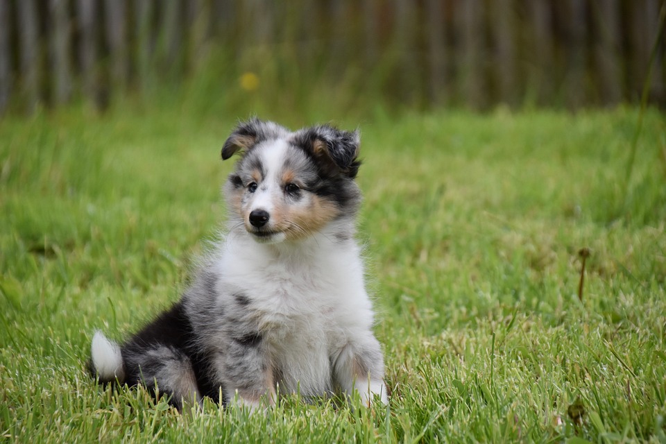 Best MPPT Charge Controller for 400W Solar Panel: Top 5 Picks for 2026| The Xperts Pakistan