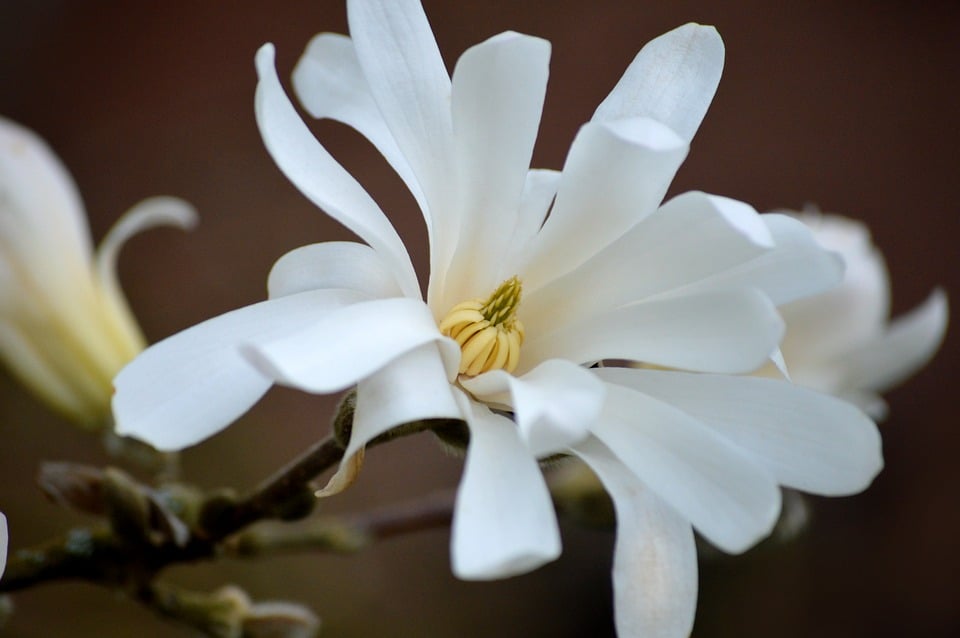 Flexible 400W Solar Panels for the RV Roof: A 2026 Performance and Survivability Guide| The Xperts Pakistan