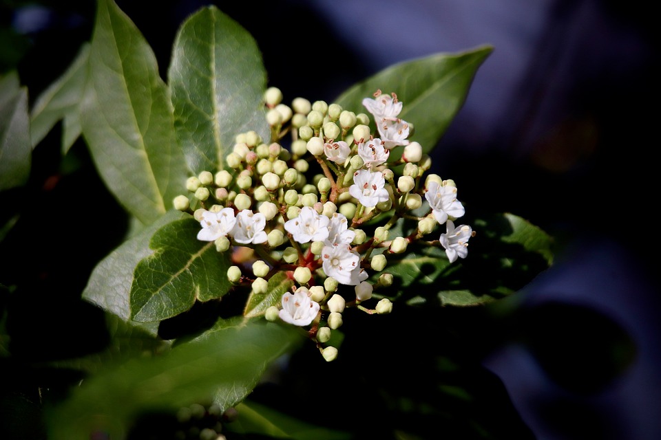 Are next-gen flexible solar panels worth the premium ROI? – Singold Solar| The Xperts Pakistan