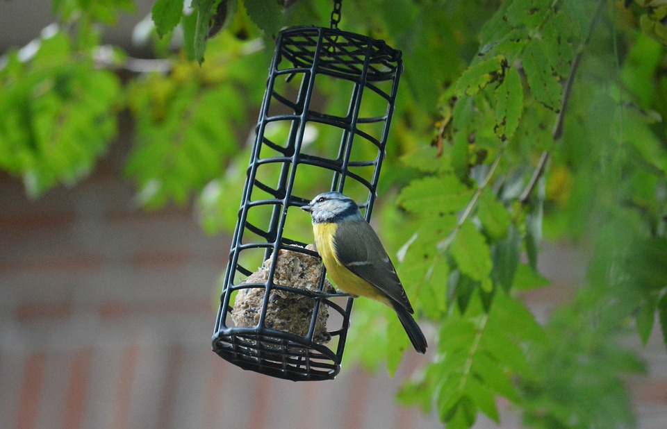 Balancing bespoke design with high performance ROI – Singold Solar| The Xperts Pakistan