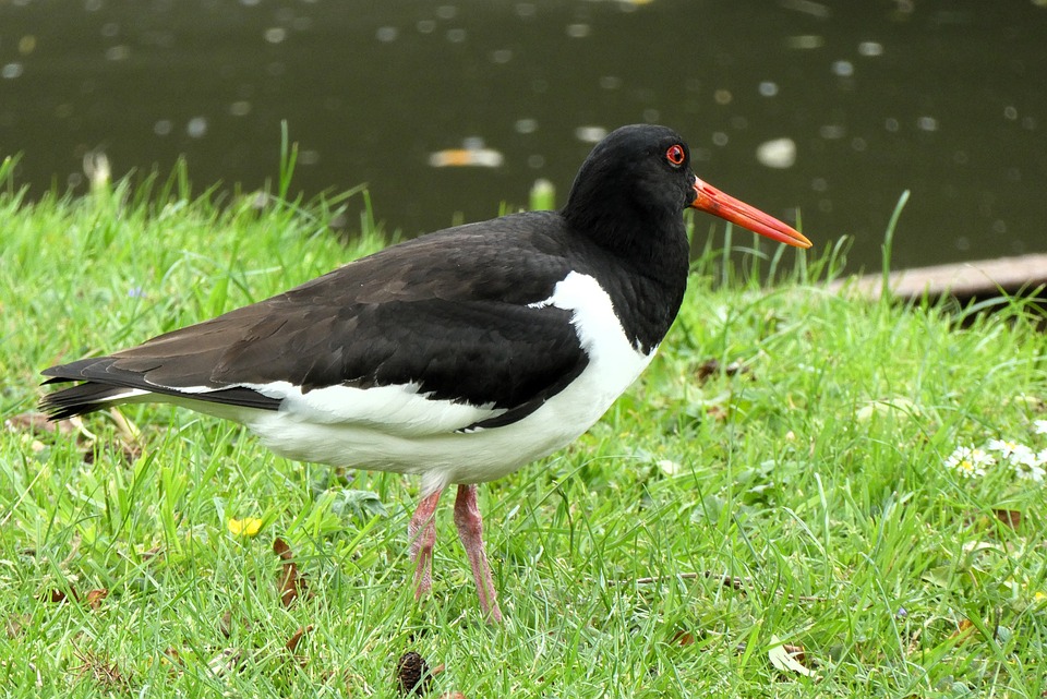 Custom Mini Solar Panels for IoT Sensors| The Xperts Pakistan