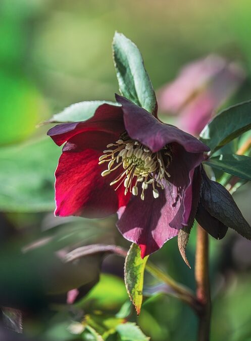 Custom Size Solar Panels for RV & Marine – Singold Solar| The Xperts Pakistan