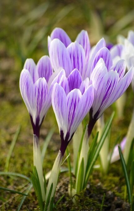 Solar Panel Hot Spot on RV Roof:The Hidden FRP Damage Risk – Sungoldsolar | The Xperts Pakistan