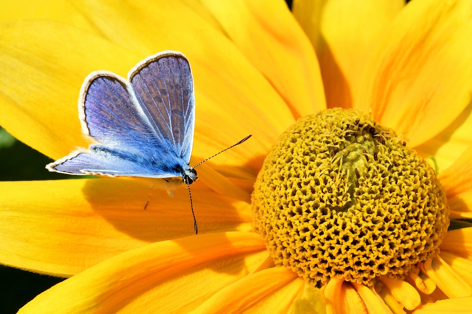 The Science of Polar Stability – Singold Solar| The Xperts Pakistan