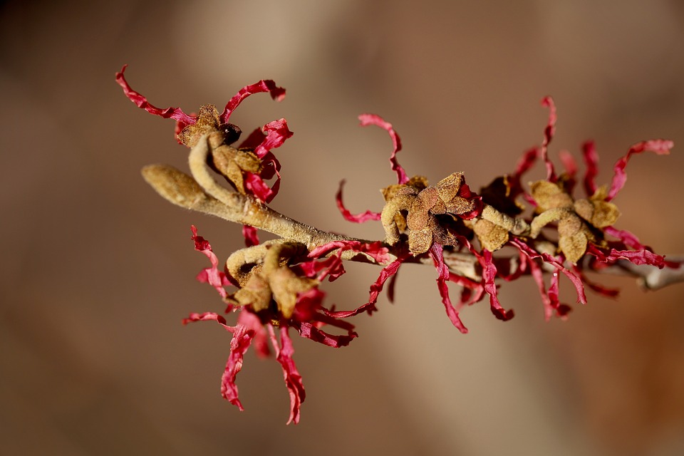 What solar panel customization options are available for your project? – Singold Solar| The Xperts Pakistan