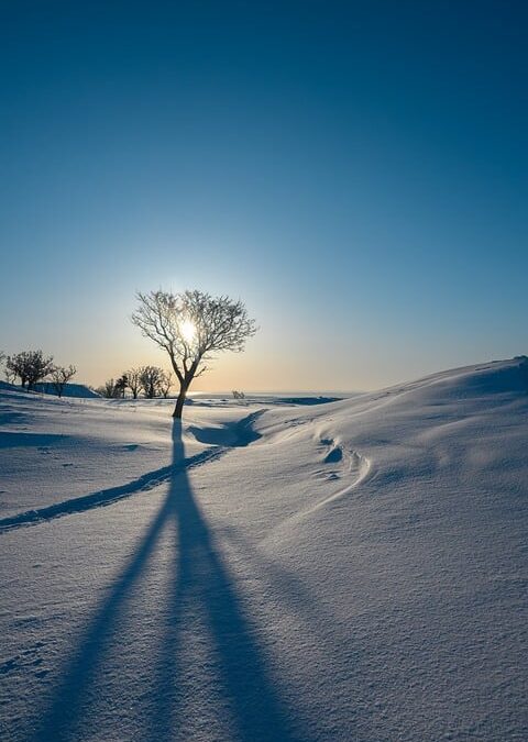 2026 BTU to Watts Conversion Guide – Singold Solar| The Xperts Pakistan