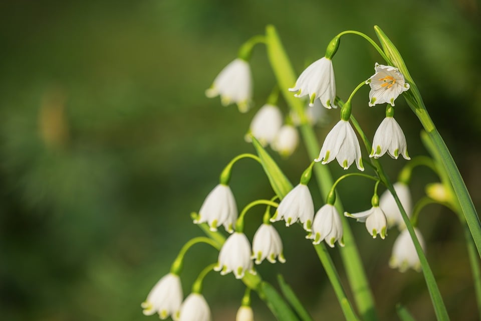 A Simple Guide 2026 – Singold Solar| The Xperts Pakistan