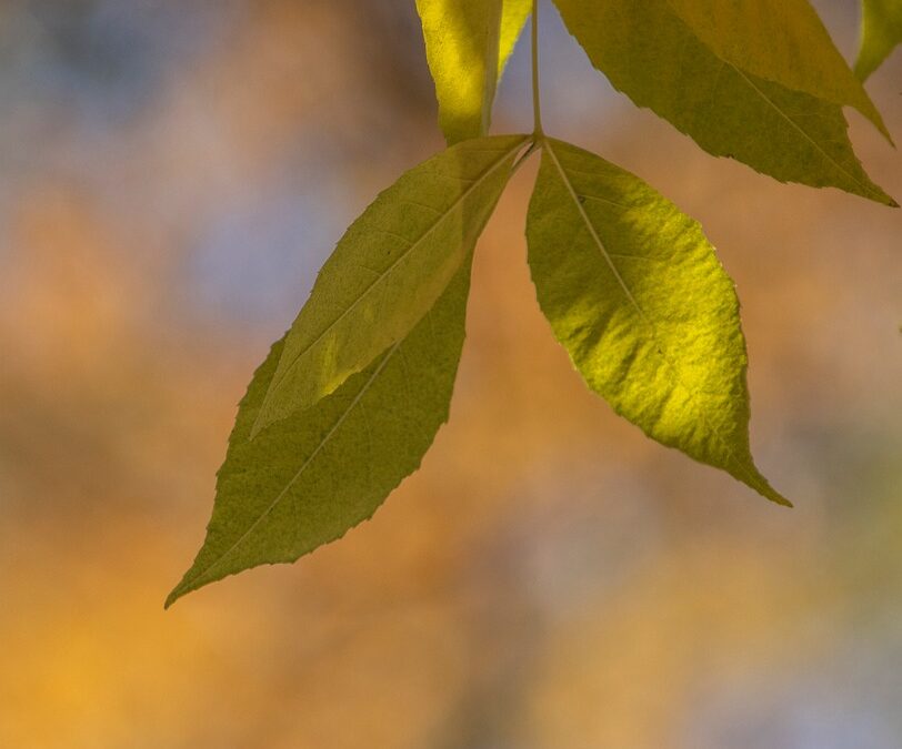 Best Flexible Solar Panel Manufacturers | The Xperts Pakistan