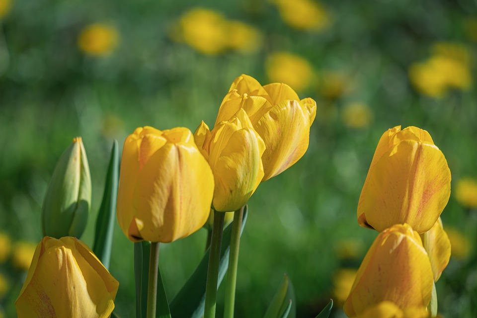 Can Flexible Solar Panels Get Wet? 3 Proven IP Ratings Compared | The Xperts Pakistan