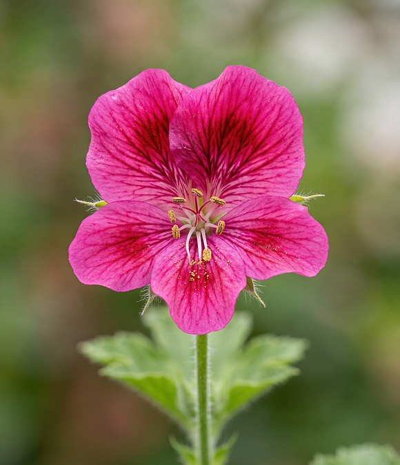 Flexible Solar Panels OEM/ODM Supplier Guide for B2B Buyers (2026) | The Xperts Pakistan