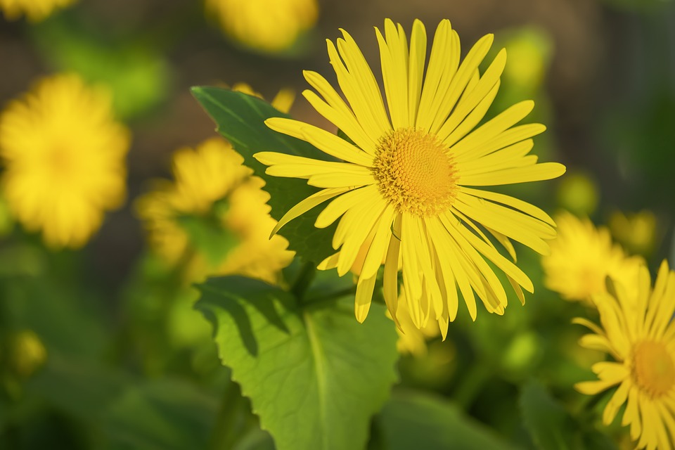 How Long Do Flexible Solar Panels Last? Degradation Guide | The Xperts Pakistan