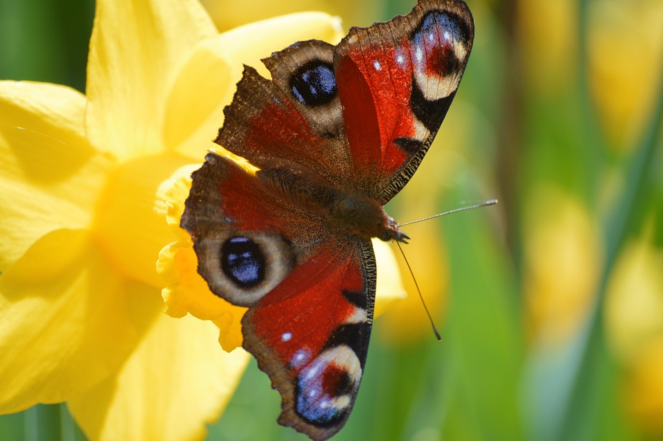 How Many Watts Solar Panel Do I Need for 1kWh Power Station? – Sungoldsolar | The Xperts Pakistan