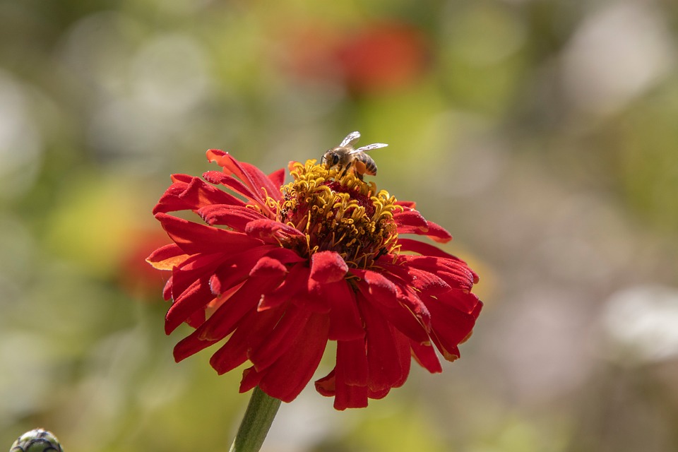 How Much Can Flexible Solar Panels Bend? Specs & Limits – Sungoldsolar | The Xperts Pakistan