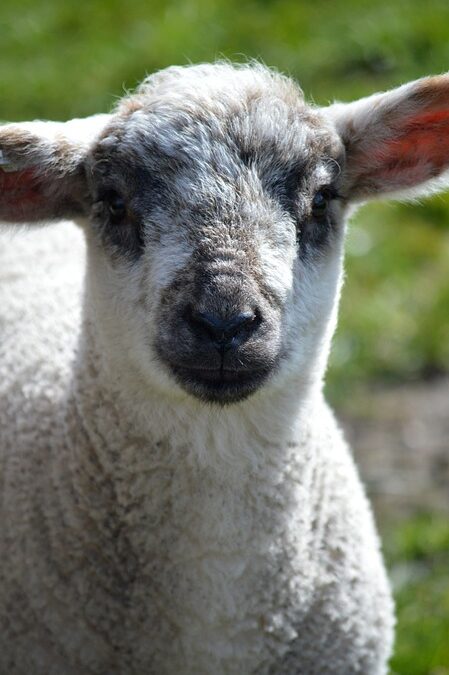 How much does an RV cost in 2026? Your Complete Buyer’s Guide – Singlesolar| The Xperts Pakistan