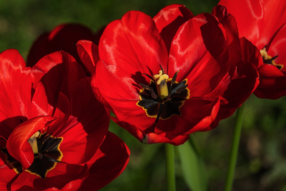 Lightweight Solar Panels for Weak or Flat Roofs Guide | The Xperts Pakistan