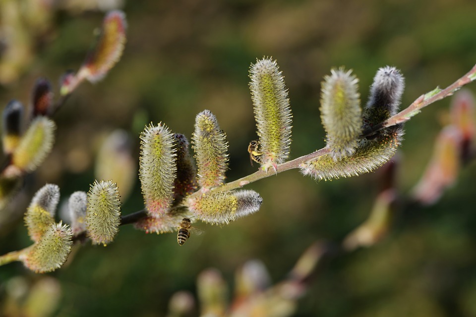 RV Solar Panel OEM Manufacturer:EU & NA Buyer’s Checklist – Sungoldsolar | The Xperts Pakistan