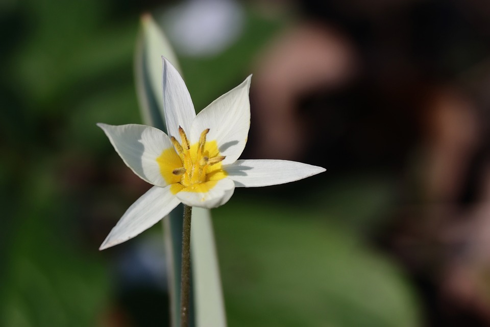 Singold shines at the 139th Canton Fair – Singold Solar| The Xperts Pakistan