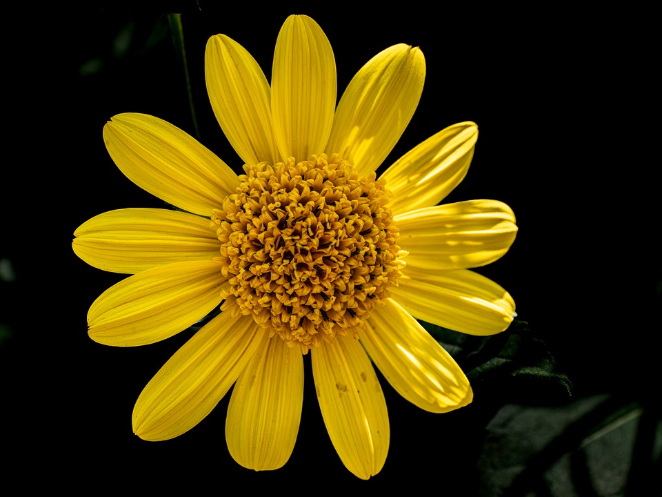 Solar Backup Sizing How to Match Solar Input, Battery Reserve, and Daily Loads
